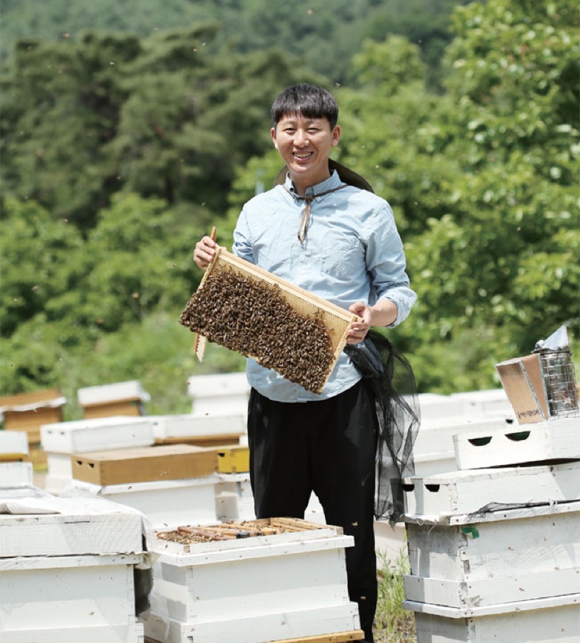 충북 영동 벌통 사이에서 벌집을 든 임모세 대표